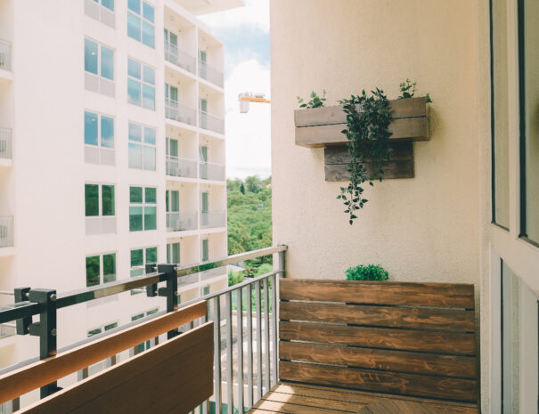 A serene open space for relaxation with a touch of elegance.